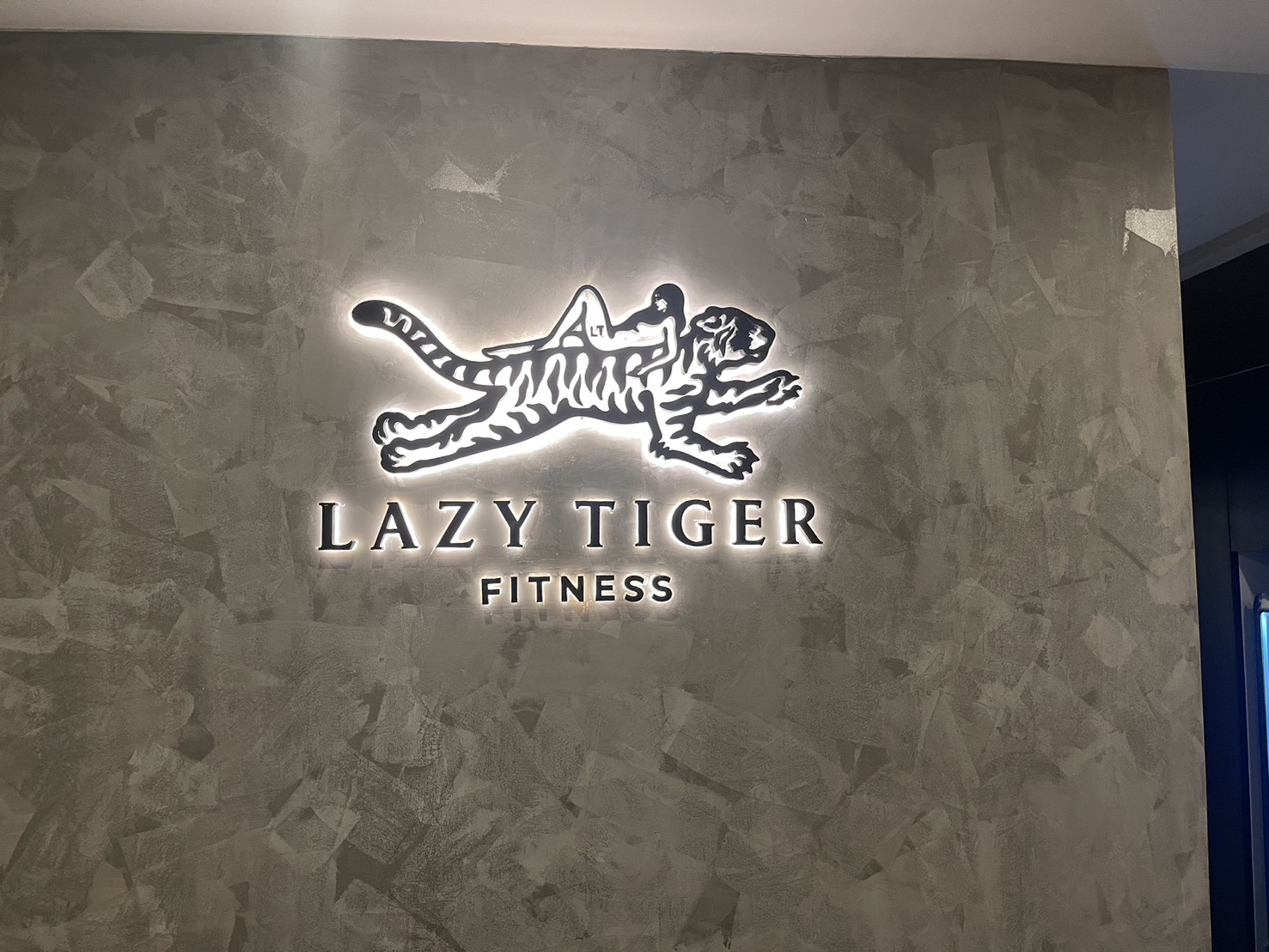 Lazy Tiger illuminated sign fabricated by EXCESS Advertising
